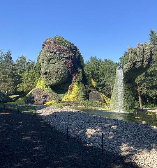 A sculpted hedge in a garden